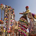 CHEAP FLIGHTS TO INDIA 2017 - Pushkar Camel Fair