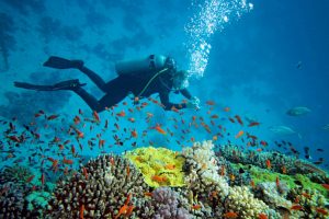 AIRASIA FLIGHT TO GOA - Scuba diving in Goa