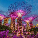 cheap flights from singapore june 2018-singapore airlines official