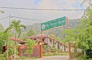 CHEAP FLIGHT TO LANGKAWI 2018 - My Forest Hotel